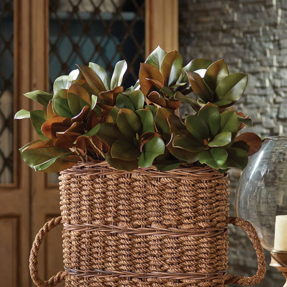 Grand Magnolia Leaf Stem 42.5"
