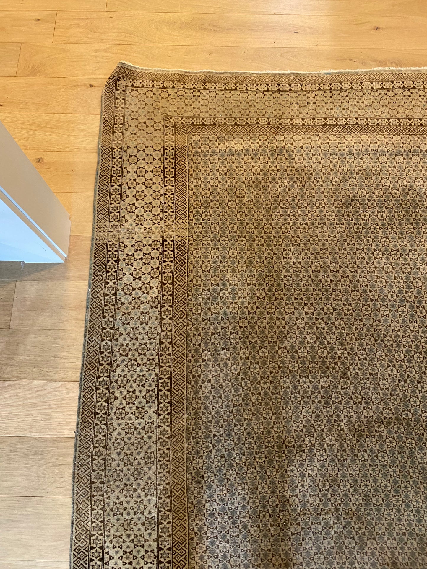 Lainey Rug