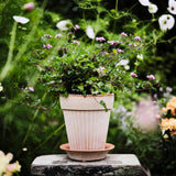 Simona Raw Rosa Pot - Small
