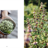Living with Herbs