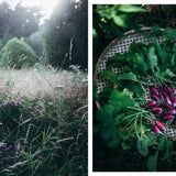 Nordic Summer Cookbook