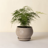 Delphi Raw Pot