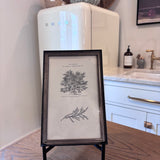 French Botanical Art