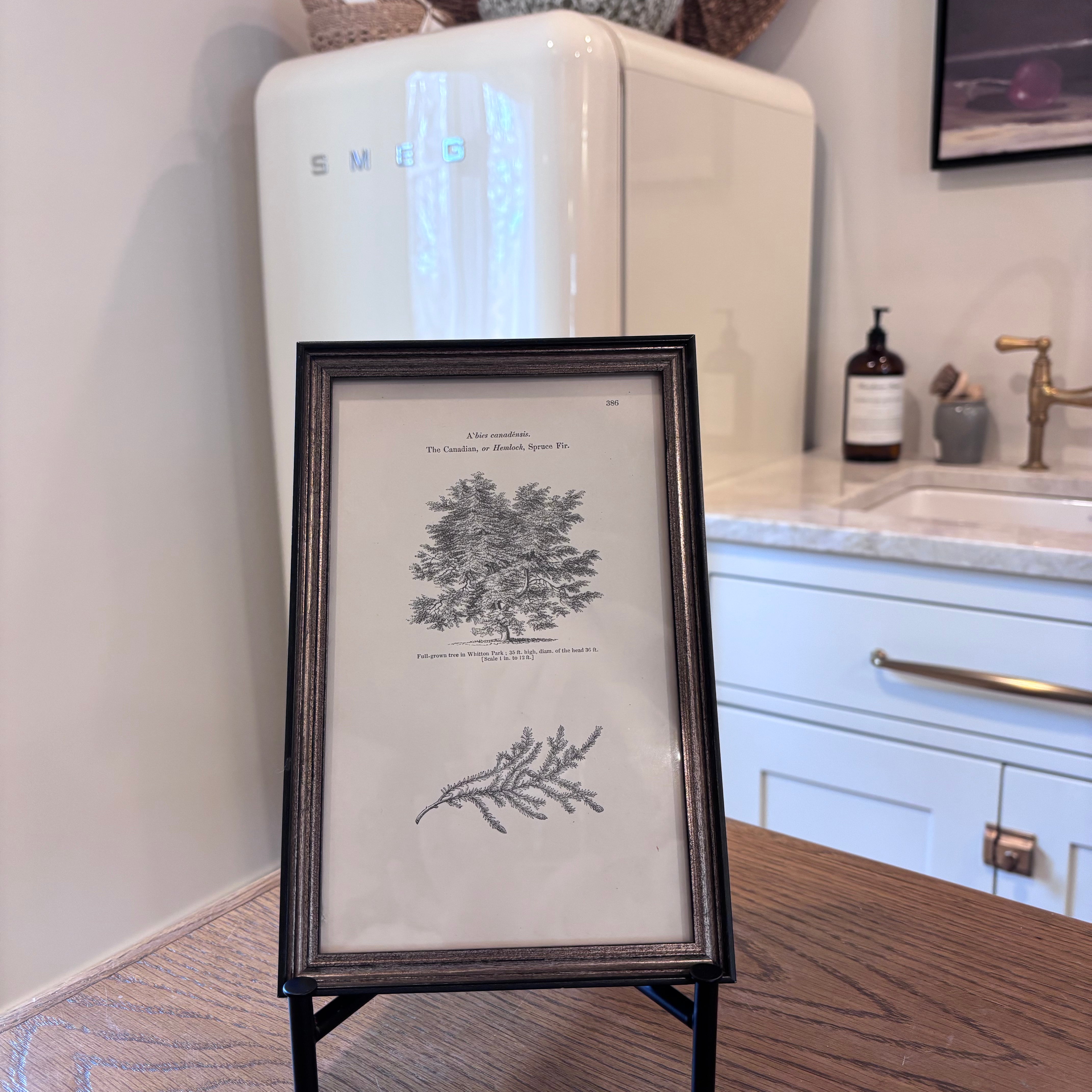 French Botanical Art