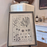 French Botanical Art