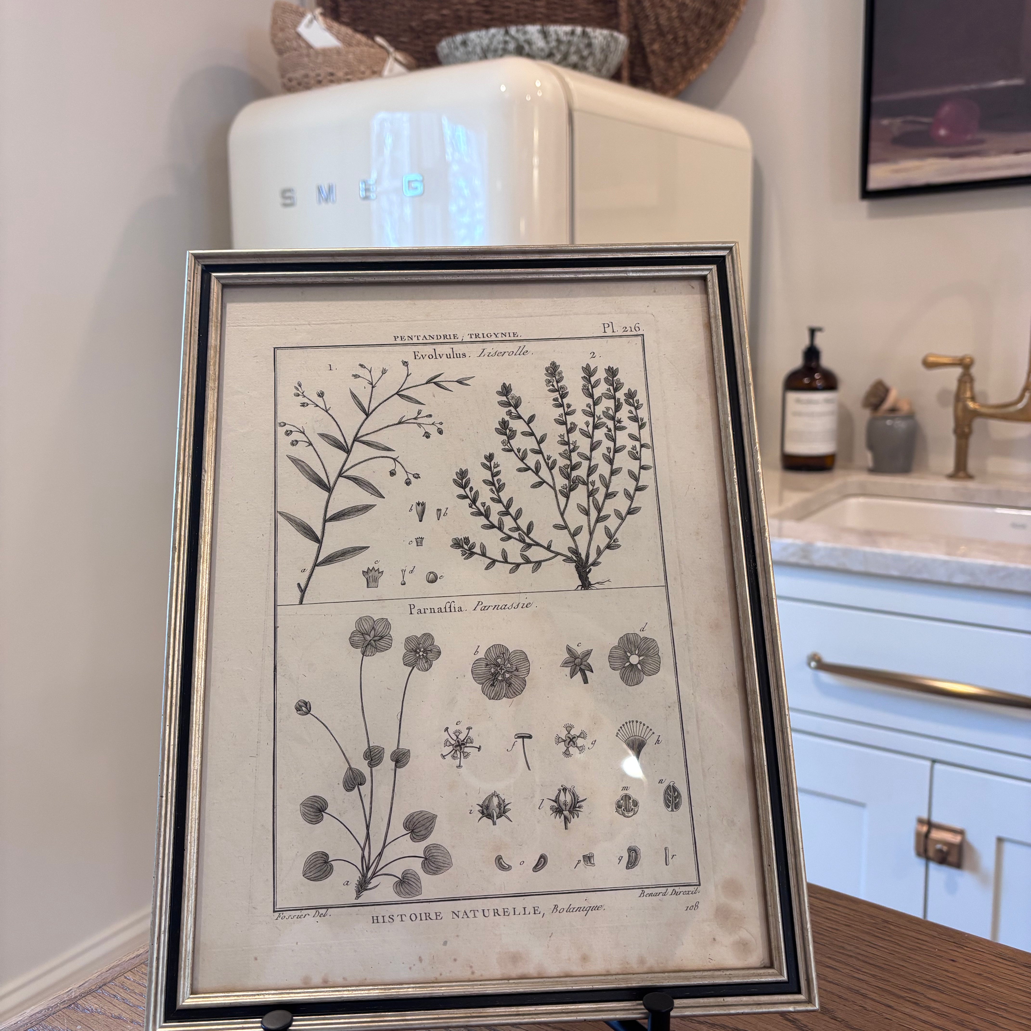 French Botanical Art