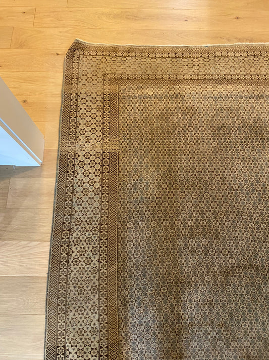 Lainey Rug