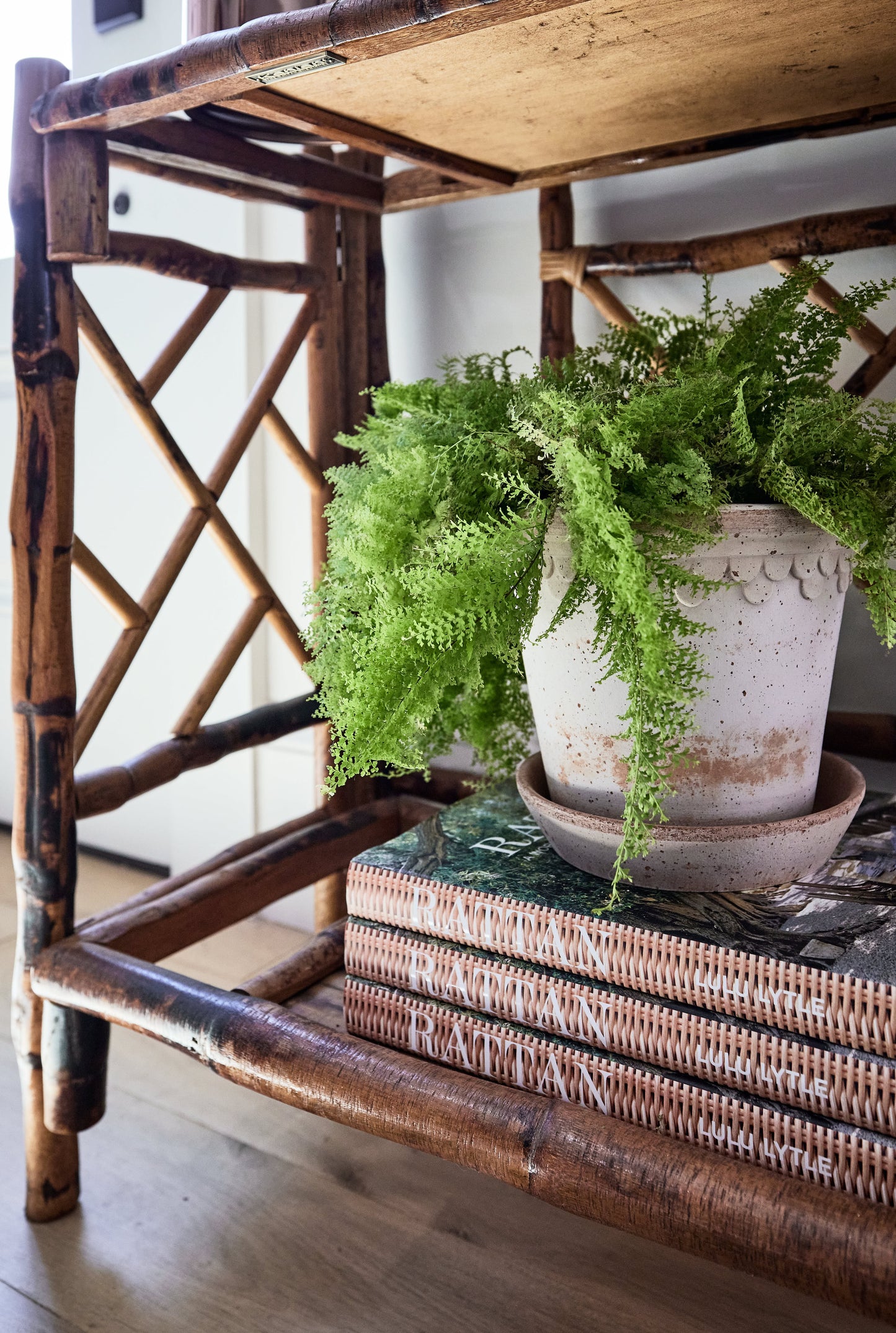 Rattan