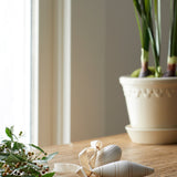 Sandstone Glazed Rosa Pot