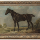 Vintage Art (Bathroom)