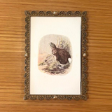 Framed Bunny Engraving