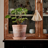 Helena Raw Rosa Pot - Wide