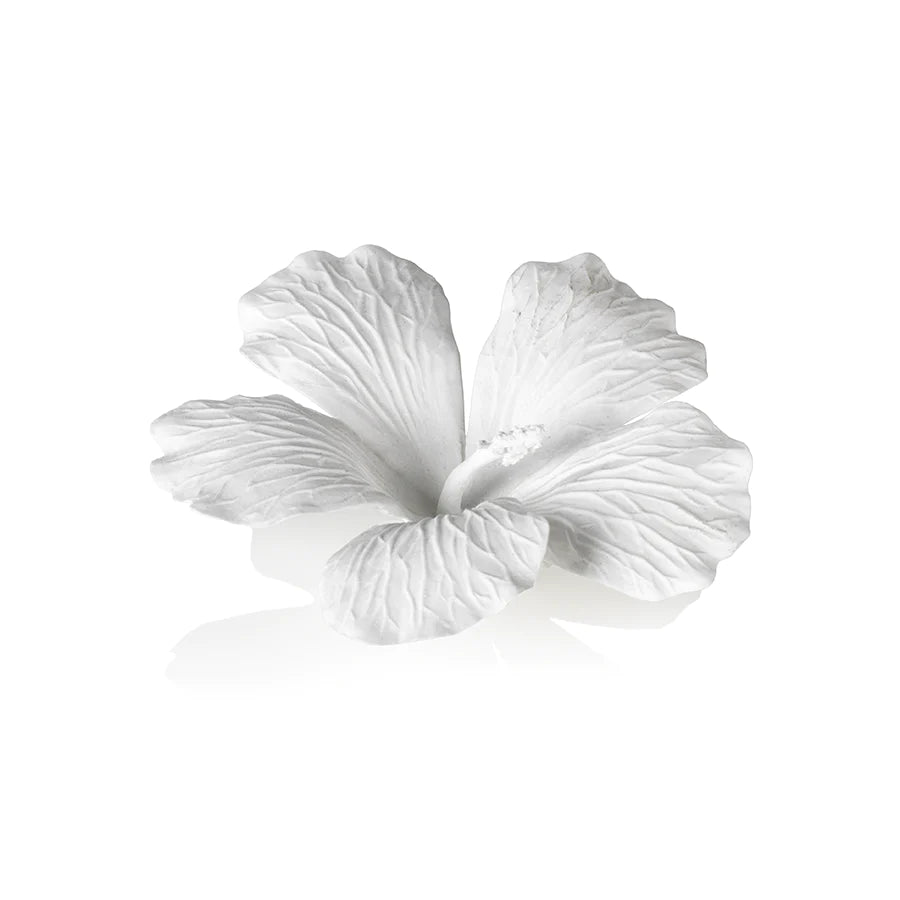 White Bone Flower