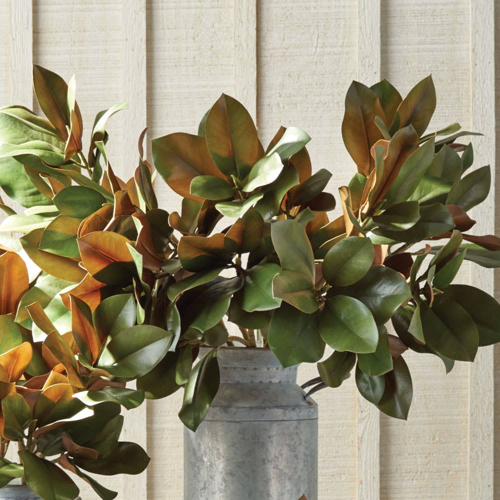 Grand Magnolia Leaf Stem 42.5"