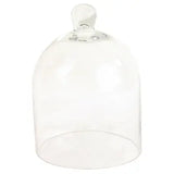 Ada Glass Cloche