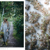 Nordic Summer Cookbook