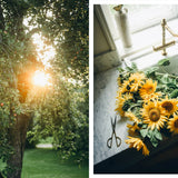 Nordic Summer Cookbook