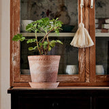 Helena Raw Rosa Pot - Medium