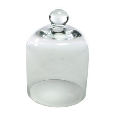 Glass Dome (Mini)