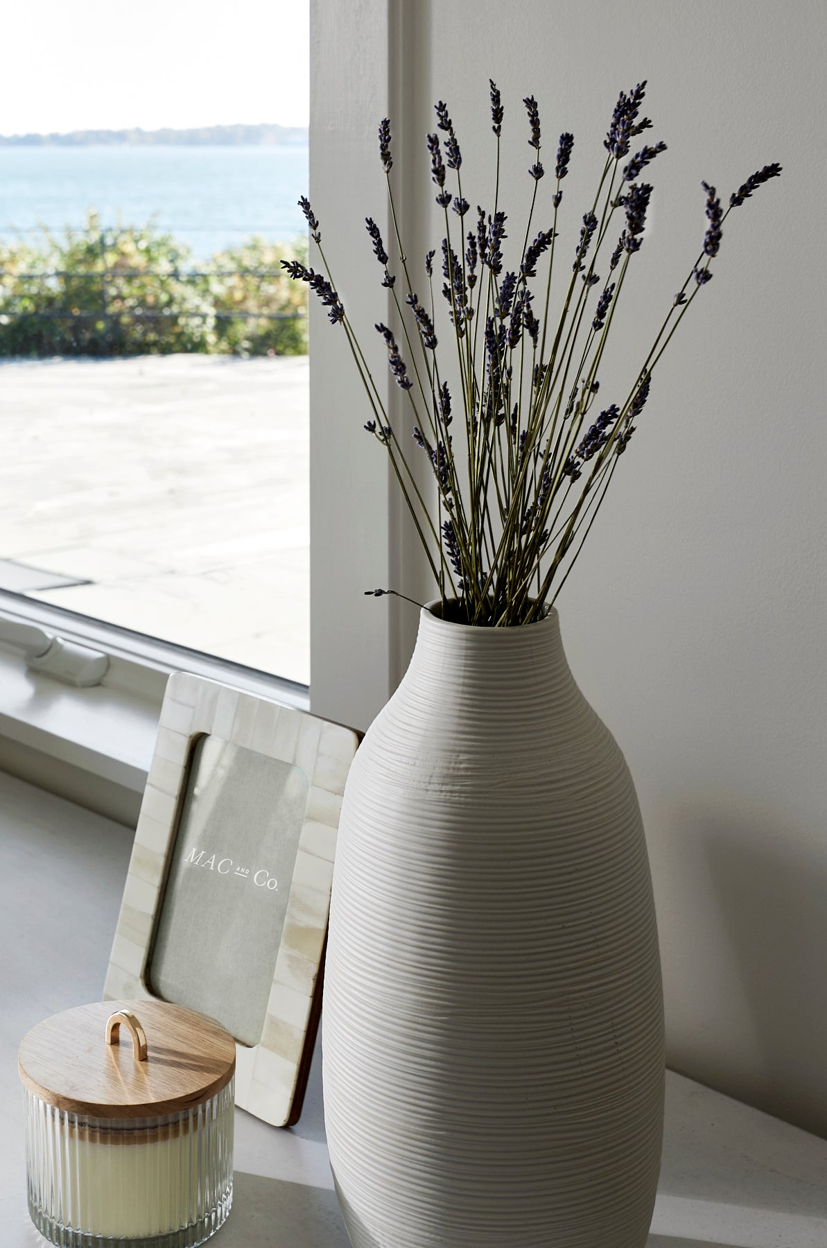 Isla Vase